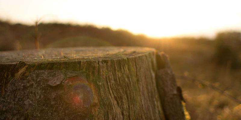 专业清洁与商业清洗：公共交通车辆内饰深度清洁、消毒与异味管理的全面指南