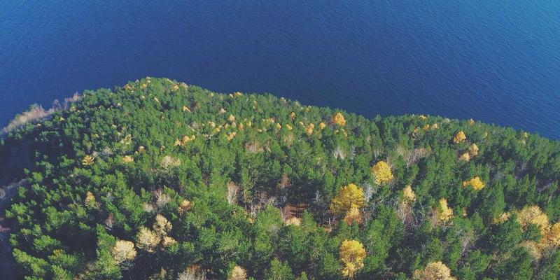 专业清洁指南：大型商超地面高效打蜡保养的时段规划与材质针对性护理