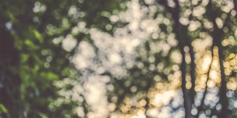 专业清洁服务24小时守护：从消毒服务到保洁用品的全方位解决方案