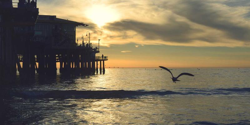 专业清洁服务指南：从保洁用品、清洁工具到高效服务方案