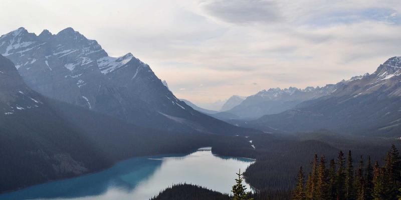商业清洗与家庭保洁全评测：如何选择最适合您的专业清洁服务