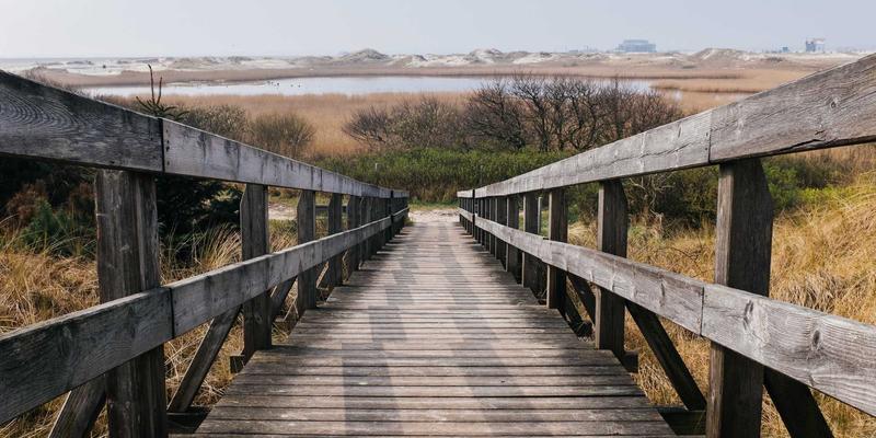 家庭保洁与专业清洁服务必读：健身房器械消毒与瑜伽垫深层杀菌操作规范