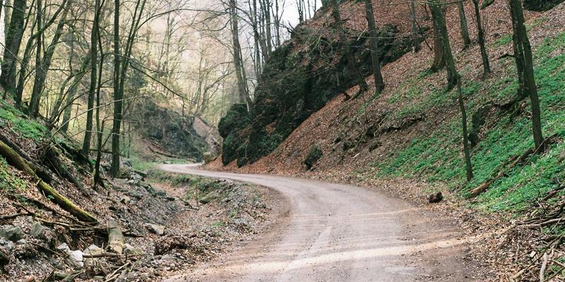 家庭保洁与消毒服务全解析：专业流程、用品选择与健康守护