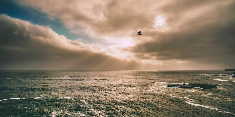 清洁服务64：专业清洁、消毒与清洁剂选择的完整指南