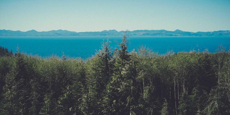 清洁服务68：专业消毒与商业清洗，打造健康高效商业环境